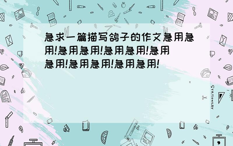 急求一篇描写鸽子的作文急用急用!急用急用!急用急用!急用急用!急用急用!急用急用!