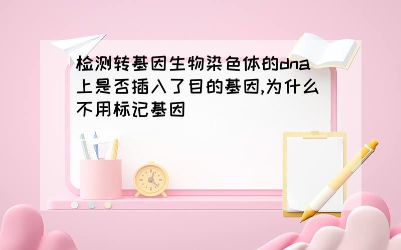 检测转基因生物染色体的dna上是否插入了目的基因,为什么不用标记基因