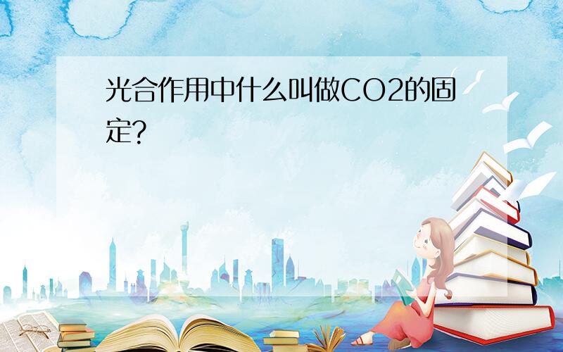 光合作用中什么叫做CO2的固定?