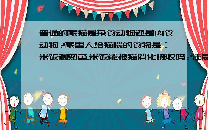 普通的家猫是杂食动物还是肉食动物?家里人给猫喂的食物是：米饭调熟鱼.米饭能被猫消化吸收吗?注意：是普通的家猫,请别把讲猫科动物的文章乱粘进来,我不研究老虎和狮子的.我主要想了