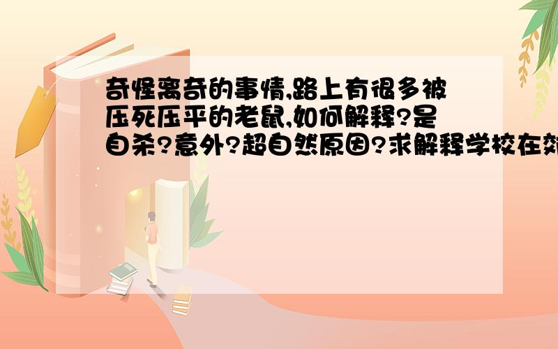 奇怪离奇的事情,路上有很多被压死压平的老鼠,如何解释?是自杀?意外?超自然原因?求解释学校在郊区,外面有一条大马路,路上24小时有大货车经过,声音很大,经过甚至地面会震动.老鼠非常灵敏