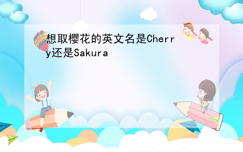 想取樱花的英文名是Cherry还是Sakura