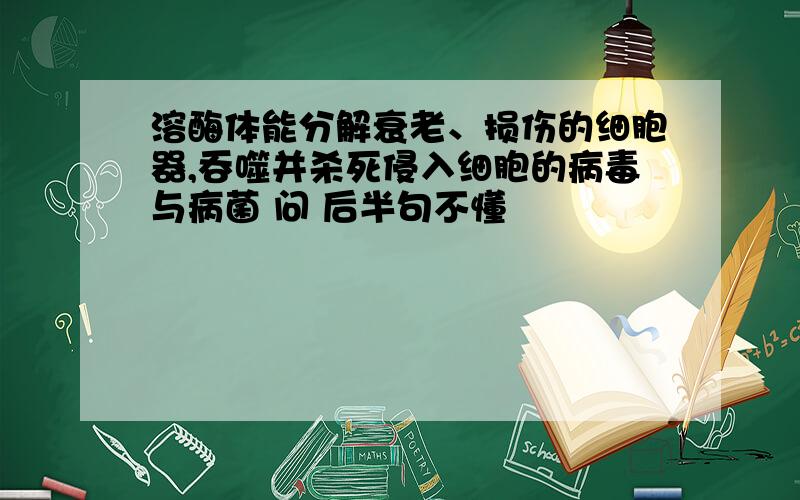 溶酶体能分解衰老、损伤的细胞器,吞噬并杀死侵入细胞的病毒与病菌 问 后半句不懂