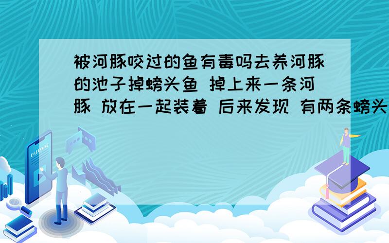 被河豚咬过的鱼有毒吗去养河豚的池子掉螃头鱼 掉上来一条河豚 放在一起装着 后来发现 有两条螃头鱼被咬死了 赶紧把死的拿出去 把河豚拿出去了 想问下其他的鱼还能吃吗 会有毒吗