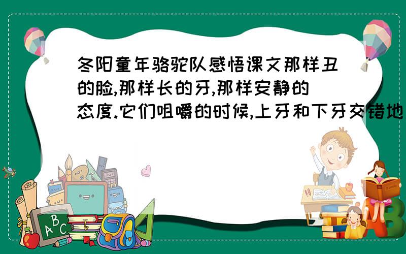 冬阳童年骆驼队感悟课文那样丑的脸,那样长的牙,那样安静的态度.它们咀嚼的时候,上牙和下牙交错地磨来磨去,大鼻孔里冒着热气,白沫子沾在胡须上.我看呆了,自己的牙齿也动起来.这段话作