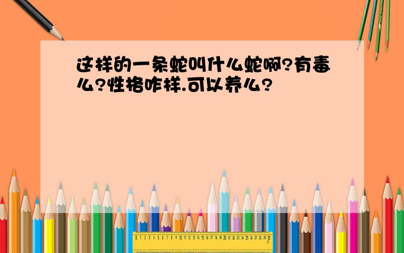 这样的一条蛇叫什么蛇啊?有毒么?性格咋样.可以养么?