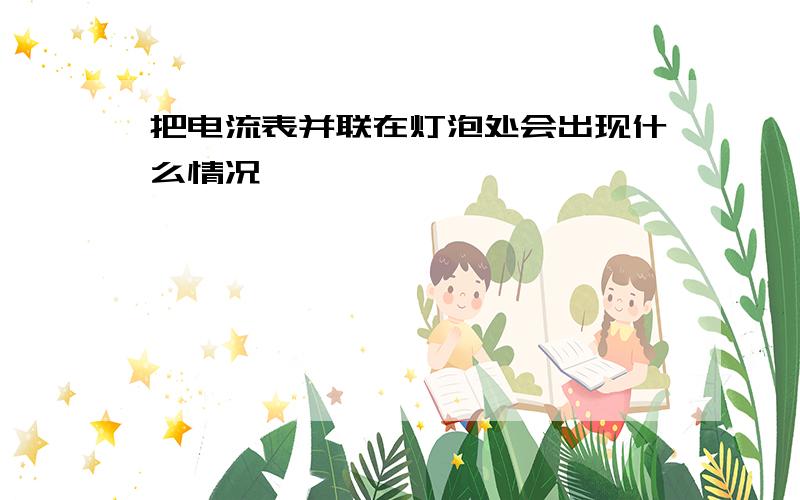 把电流表并联在灯泡处会出现什么情况