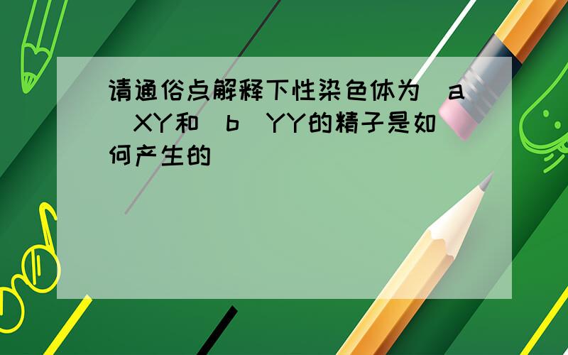 请通俗点解释下性染色体为（a）XY和（b）YY的精子是如何产生的