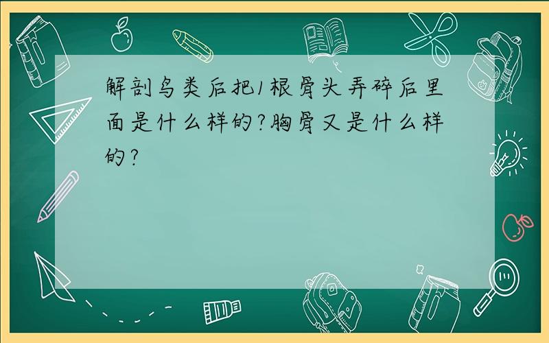 解剖鸟类后把1根骨头弄碎后里面是什么样的?胸骨又是什么样的?