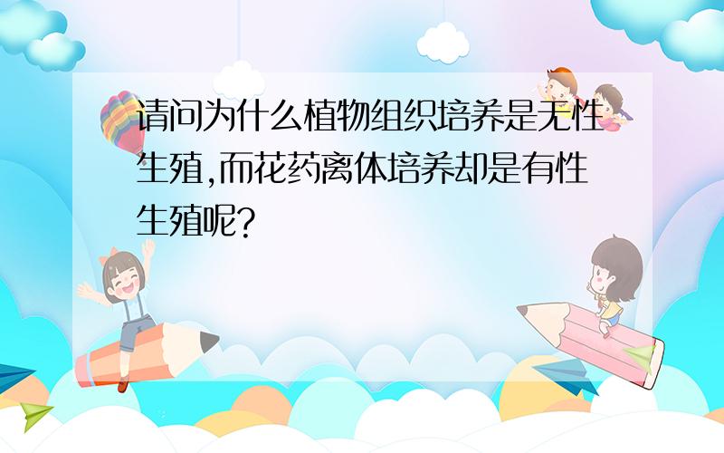 请问为什么植物组织培养是无性生殖,而花药离体培养却是有性生殖呢?