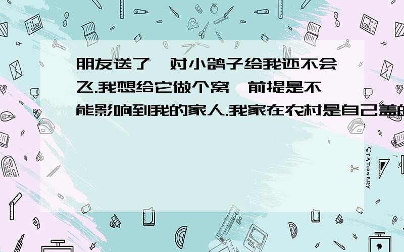 朋友送了一对小鸽子给我还不会飞.我想给它做个窝,前提是不能影响到我的家人.我家在农村是自己盖的,总共3楼.没有露天阳台,上房也不方便.阳台都是铝合金封闭了的.我想做个铁笼子放在封