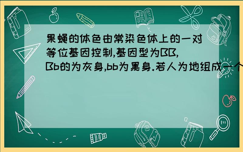 果蝇的体色由常染色体上的一对等位基因控制,基因型为BB,Bb的为灰身,bb为黑身.若人为地组成一个群体其中80％为BB的个体,20％为bb的个体,群体随机交配,其子代中Bb的比例是32％.和正交反交有