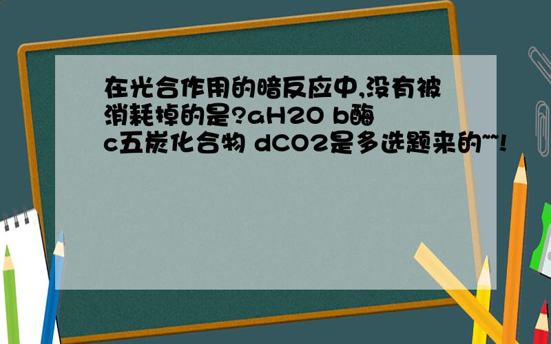 在光合作用的暗反应中,没有被消耗掉的是?aH2O b酶 c五炭化合物 dCO2是多选题来的~~!