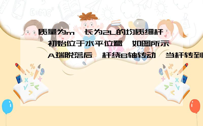 质量为m,长为2L的均质细杆,初始位于水平位置,如图所示,A端脱落后,杆绕B轴转动,当杆转到铅垂位置时,求AB杆的角加速大小.