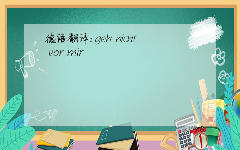 德语翻译：geh nicht vor mir