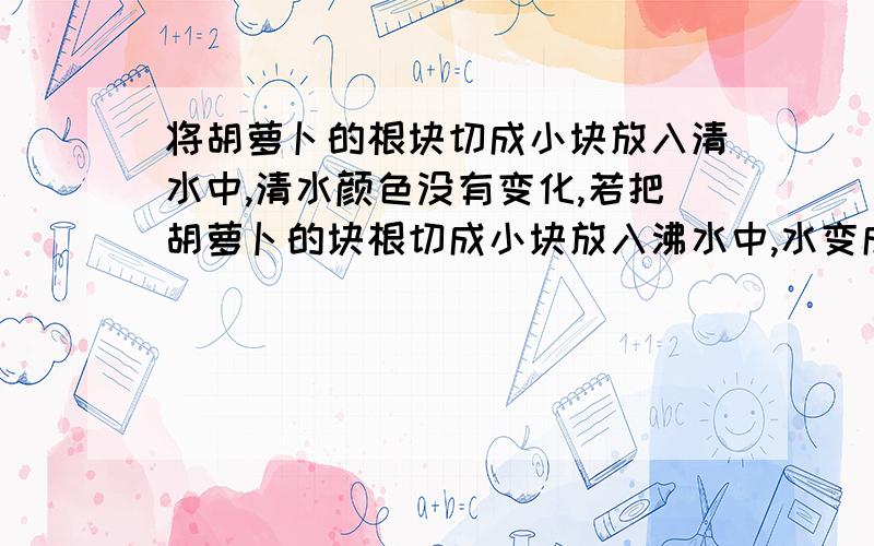 将胡萝卜的根块切成小块放入清水中,清水颜色没有变化,若把胡萝卜的块根切成小块放入沸水中,水变成红色,其原因是A.沸水破坏细胞壁结构B.沸水使细胞失活C.水温升高,色素溶解度增大D.沸水