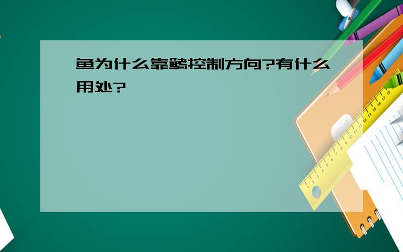 鱼为什么靠鳍控制方向?有什么用处?