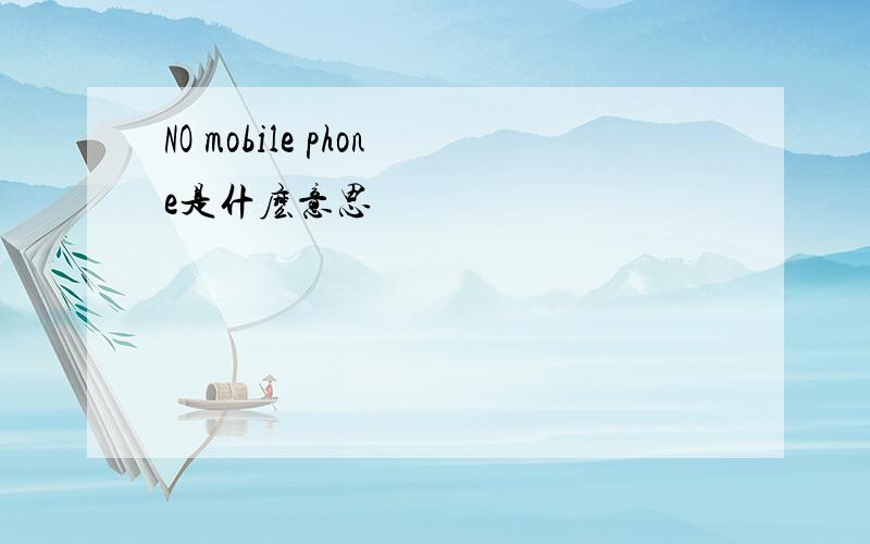 NO mobile phone是什麽意思