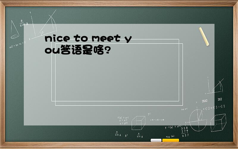 nice to meet you答语是啥?