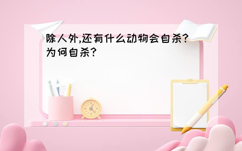 除人外,还有什么动物会自杀?为何自杀?