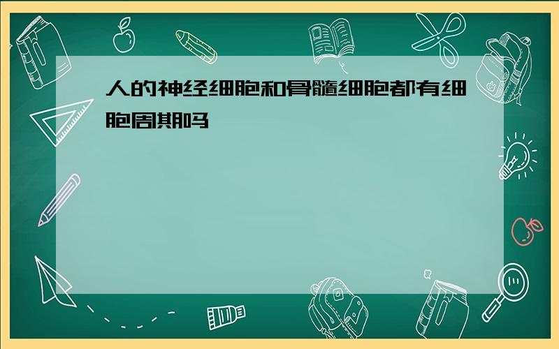 人的神经细胞和骨髓细胞都有细胞周期吗