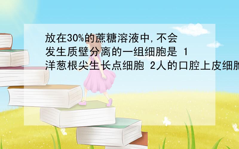 放在30%的蔗糖溶液中,不会发生质壁分离的一组细胞是 1洋葱根尖生长点细胞 2人的口腔上皮细胞 3洋葱表皮细放在30%的蔗糖溶液中,不会发生质壁分离的一组细胞是1洋葱根尖生长点细胞 2人的