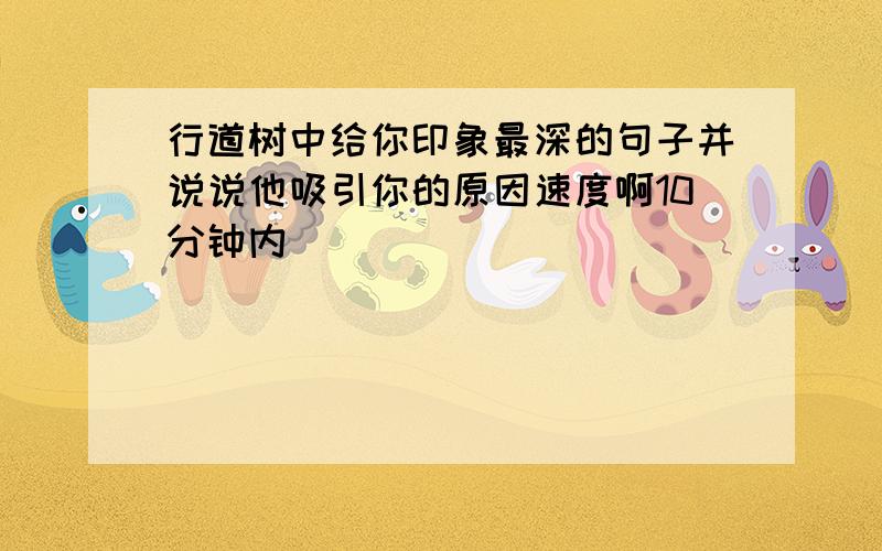 行道树中给你印象最深的句子并说说他吸引你的原因速度啊10分钟内