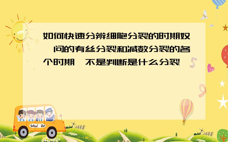 如何快速分辨细胞分裂的时期奴婢问的有丝分裂和减数分裂的各个时期,不是判断是什么分裂