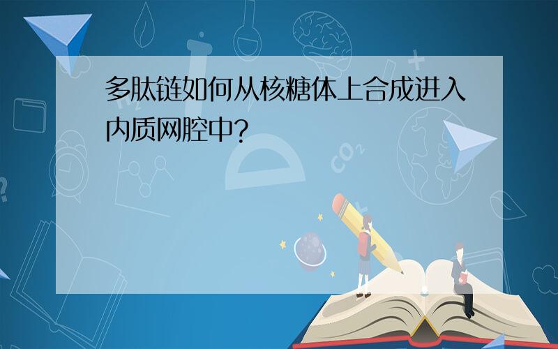 多肽链如何从核糖体上合成进入内质网腔中?