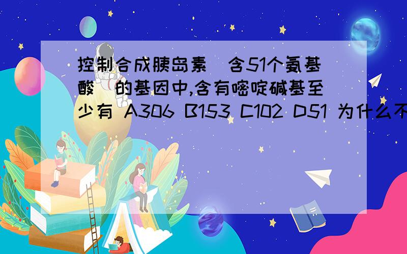 控制合成胰岛素（含51个氨基酸）的基因中,含有嘧啶碱基至少有 A306 B153 C102 D51 为什么不考虑终止密码1、控制合成胰岛素（含51个氨基酸）的基因中,含有嘧啶碱基至少有 A306 B153 C102 D51 为什