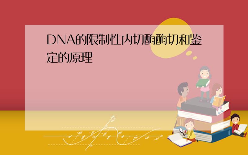 DNA的限制性内切酶酶切和鉴定的原理