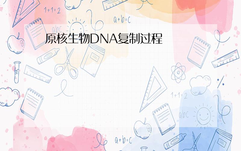 原核生物DNA复制过程