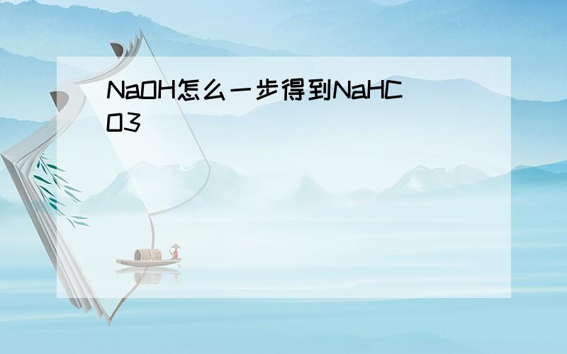 NaOH怎么一步得到NaHCO3