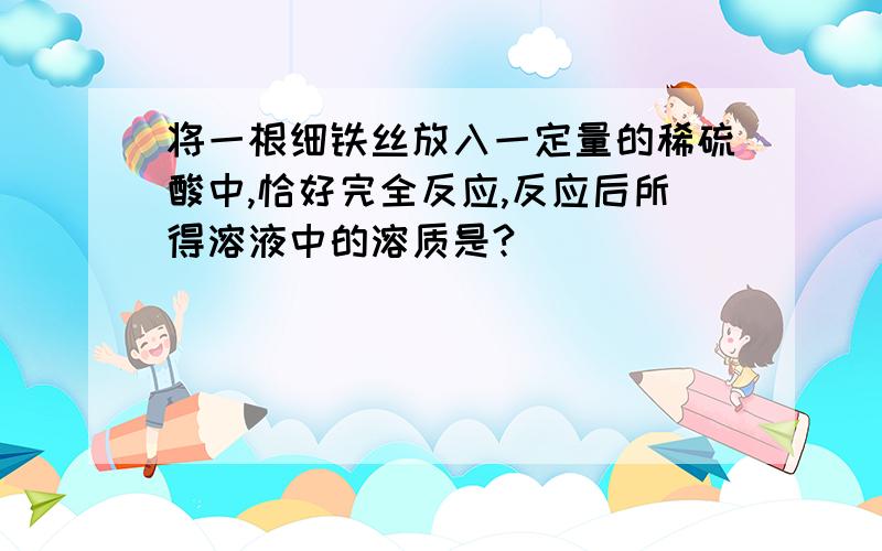 将一根细铁丝放入一定量的稀硫酸中,恰好完全反应,反应后所得溶液中的溶质是?