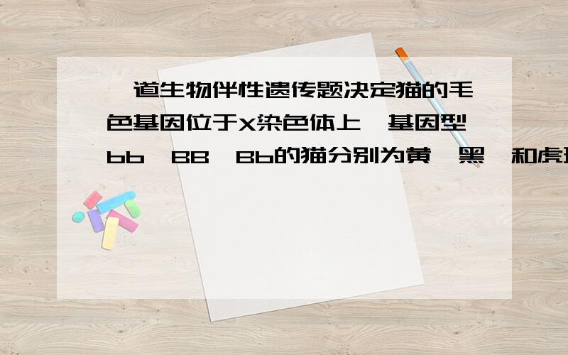 一道生物伴性遗传题决定猫的毛色基因位于X染色体上,基因型bb,BB,Bb的猫分别为黄,黑,和虎斑色.现有虎斑雌猫与黄色雄猫交配,它们生下三只虎斑色小猫和一只黄色小猫,它们的性别是A全为雌或