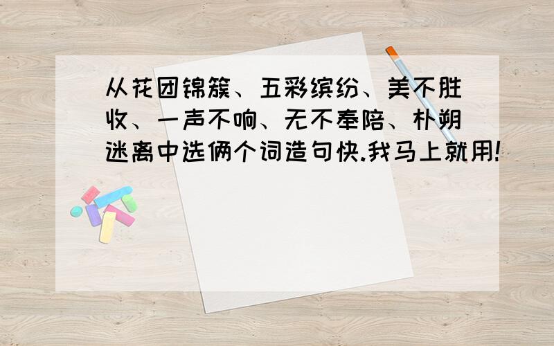 从花团锦簇、五彩缤纷、美不胜收、一声不响、无不奉陪、朴朔迷离中选俩个词造句快.我马上就用!