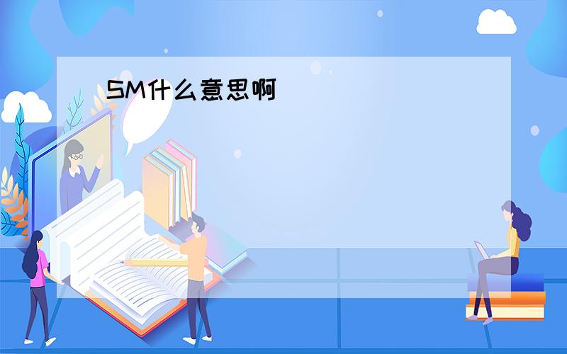 SM什么意思啊