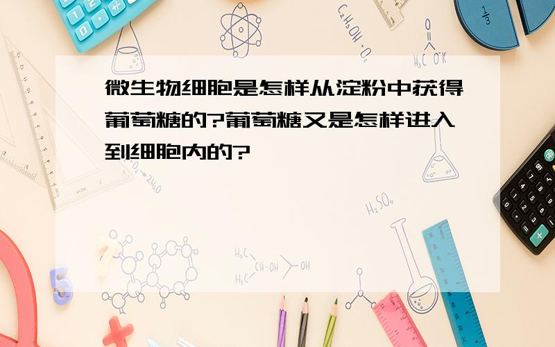 微生物细胞是怎样从淀粉中获得葡萄糖的?葡萄糖又是怎样进入到细胞内的?