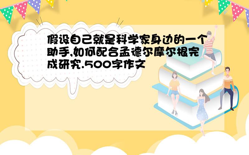 假设自己就是科学家身边的一个助手,如何配合孟德尔摩尔根完成研究.500字作文