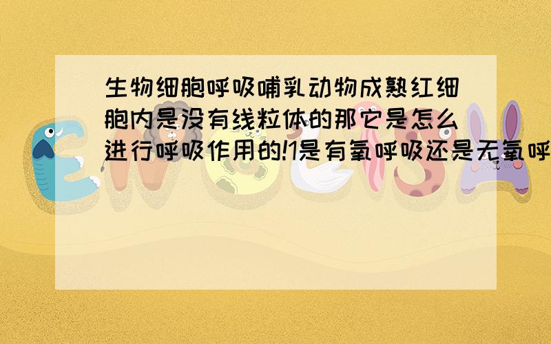 生物细胞呼吸哺乳动物成熟红细胞内是没有线粒体的那它是怎么进行呼吸作用的!1是有氧呼吸还是无氧呼吸!产物是什么~