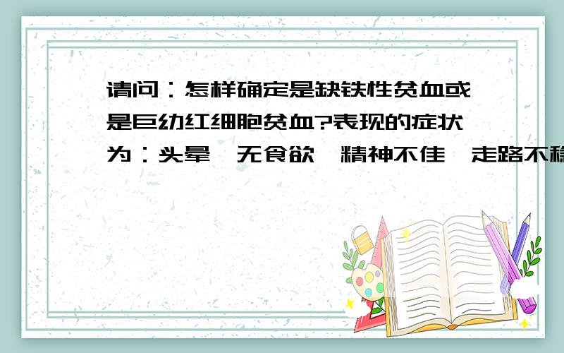 请问：怎样确定是缺铁性贫血或是巨幼红细胞贫血?表现的症状为：头晕、无食欲、精神不佳、走路不稳,（本人称是飘的）、有时也感觉站立不稳、有四肢指尖发麻的感觉,经常头疼（头疼时