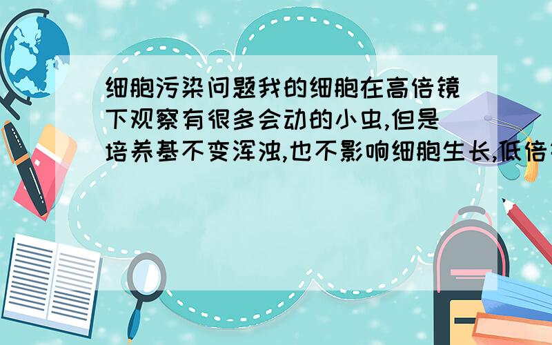 细胞污染问题我的细胞在高倍镜下观察有很多会动的小虫,但是培养基不变浑浊,也不影响细胞生长,低倍镜下看不到小虫,但是发现培养基中有很多小东西,这是什么污染啊?400倍才能看到动，不