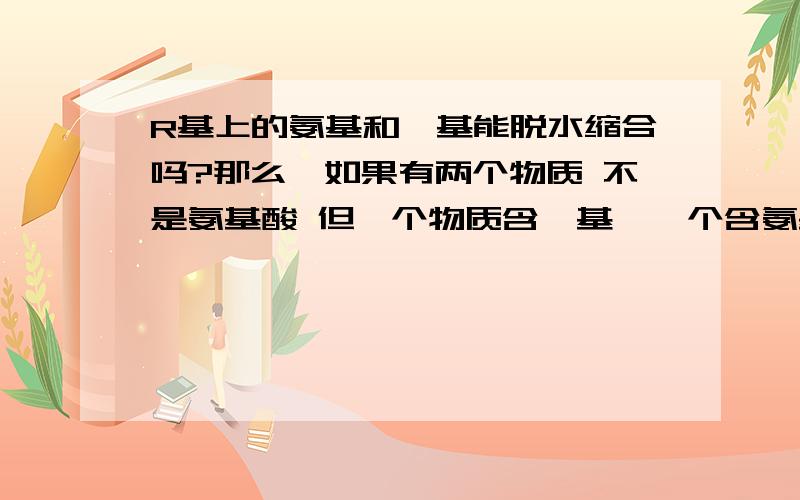 R基上的氨基和羧基能脱水缩合吗?那么,如果有两个物质 不是氨基酸 但一个物质含羧基,一个含氨基.它们能发生脱水缩合吗?还有,核苷酸是脱水聚合还是缩合?谢.