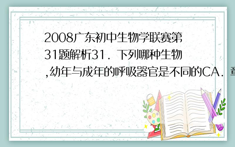 2008广东初中生物学联赛第31题解析31．下列哪种生物,幼年与成年的呼吸器官是不同的CA．章鱼 B．甲鱼 c．娃娃鱼 D．鲸鱼