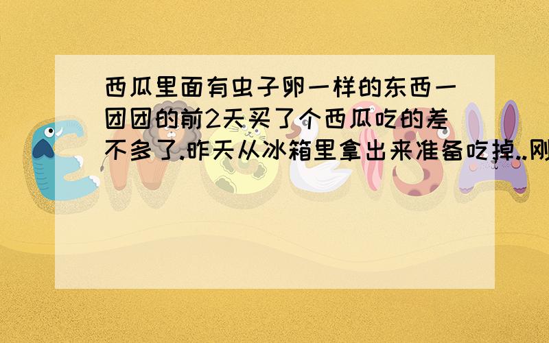 西瓜里面有虫子卵一样的东西一团团的前2天买了个西瓜吃的差不多了.昨天从冰箱里拿出来准备吃掉..刚要吃发现这块西瓜的中间部位有一空的地方有一团蚂蚁卵一样的东西白白的大小也和米