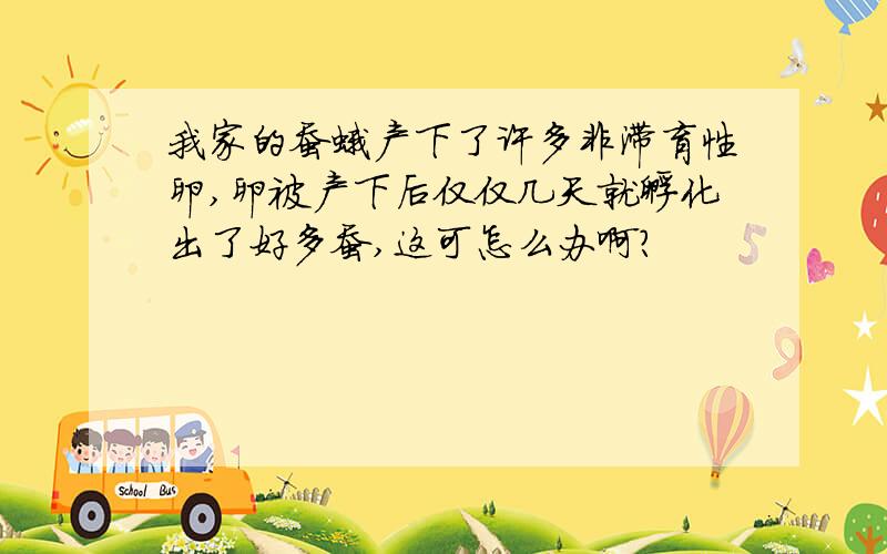 我家的蚕蛾产下了许多非滞育性卵,卵被产下后仅仅几天就孵化出了好多蚕,这可怎么办啊?