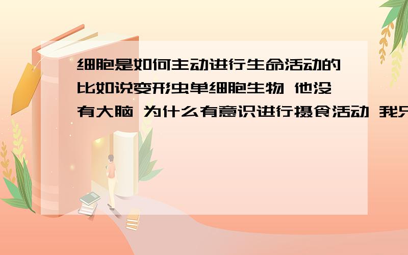 细胞是如何主动进行生命活动的比如说变形虫单细胞生物 他没有大脑 为什么有意识进行摄食活动 我只是个高中生喜欢钻研 希望大神能帮帮给我一些指导 比如怎么控制细胞膜的流动