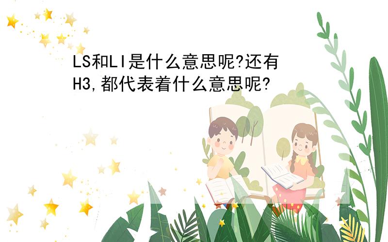 LS和LI是什么意思呢?还有H3,都代表着什么意思呢?