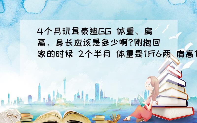 4个月玩具泰迪GG 体重、肩高、身长应该是多少啊?刚抱回家的时候 2个半月 体重是1斤6两 肩高18-19 我家妞妞现在刚满4个月 现在体重都4斤多一点啦 ,肩高大概有22-24了.都说玩具体 长大也就7斤