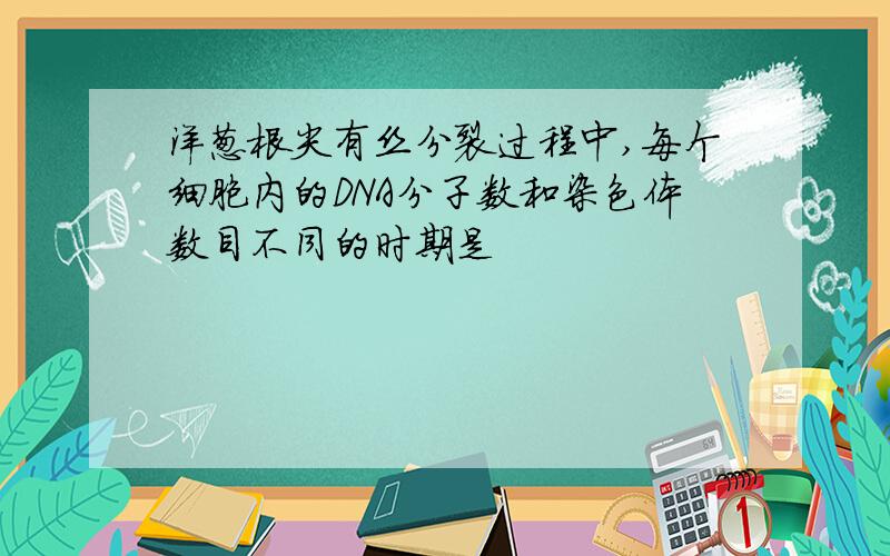 洋葱根尖有丝分裂过程中,每个细胞内的DNA分子数和染色体数目不同的时期是